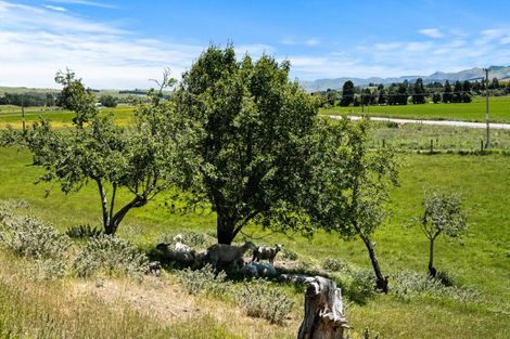 Photo of property in 1/13 Hughes Road, Palmerston, 9481