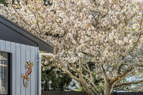 Photo of property in 74 Oakfield Crescent, Pukete, Hamilton, 3200