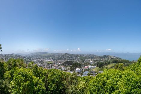 Photo of property in 60 Nalanda Crescent, Broadmeadows, Wellington, 6035