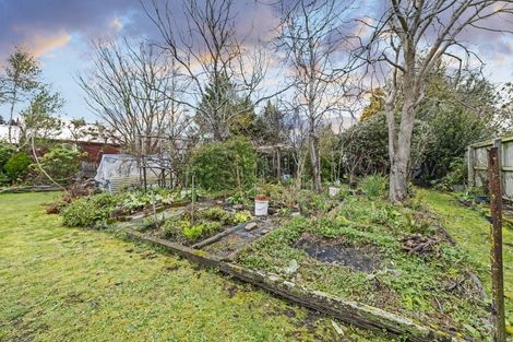 Photo of property in 74 Main Street, Oxford, 7430