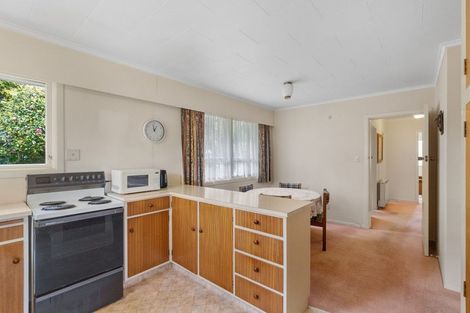 Photo of property in 76 Winchester Street, Levin, 5510