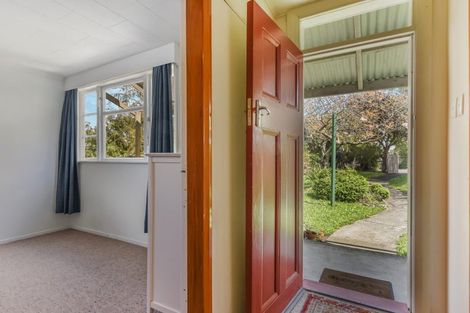 Photo of property in 57 Shelbourne Street, Nelson, 7010