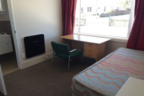 Photo of property in 17 Suffolk Street, Phillipstown, Christchurch, 8011