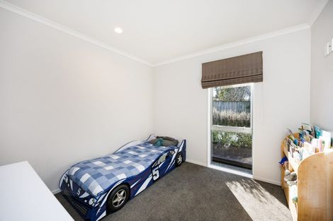 Photo of property in 20a Ilford Place, Awapuni, Palmerston North, 4412