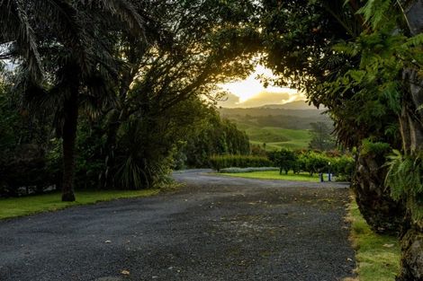 Photo of property in 439 Wainui Road South, Whakamarama, Katikati, 3181