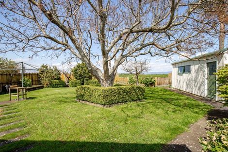 Photo of property in 8 Harris Place, Ngatea, 3503