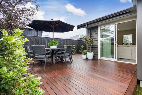 Photo of property in 15 Samuel Place, Terrace End, Palmerston North, 4410