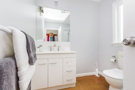 Photo of property in 141 Daniell Street, Newtown, Wellington, 6021