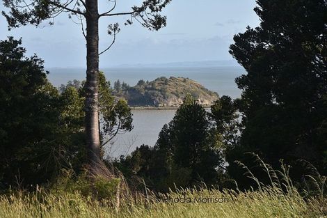 Photo of property in 14 Te Wairoa Lane, Tinopai, 0593