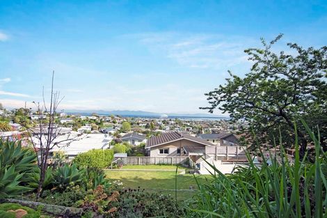 Photo of property in 49 Marlborough Crescent, Richmond, 7020