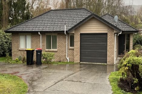 Photo of property in 29 Garden Street, Lumsden, 9730