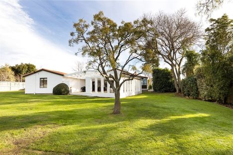 Photo of property in 221a Redwood Street, Witherlea, Blenheim, 7201