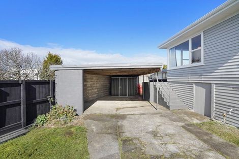 Photo of property in 169 Ellicott Road, Nawton, Hamilton, 3200