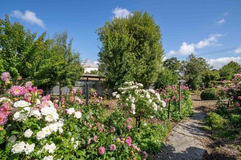 Photo of property in 23 Sussex Street, Tapanui, 9522