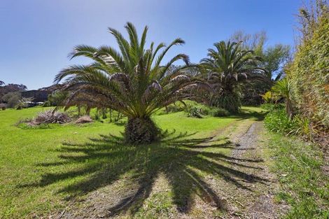 Photo of property in 147 Tomarata Road, Mangawhai, 0975