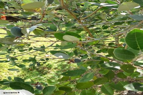 Photo of property in 3353 Mangakahia Road, Pakotai, Whangarei, 0172