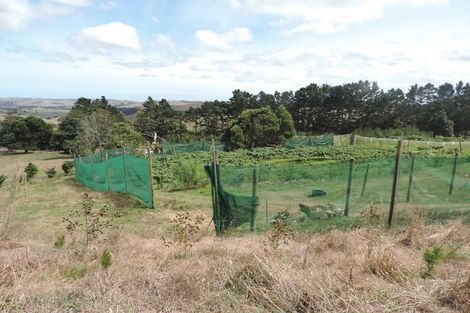 Photo of property in 225 Te Akau Road, Waingaro, Ngaruawahia, 3793