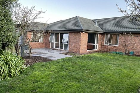 Photo of property in 17 Meadow Street, Papanui, Christchurch, 8052