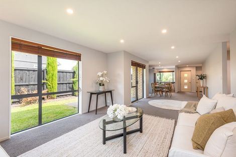 Photo of property in 24 Wychbury Street, Spreydon, Christchurch, 8024