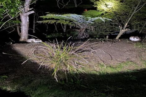 Photo of property in 341 Upper Harbour Drive, Greenhithe, Auckland, 0632