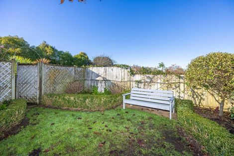 Photo of property in 56a Graham Street, Hamilton East, Hamilton, 3216