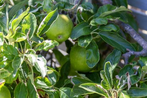 Photo of property in 7 Kawau Grove, Waikanae Beach, Waikanae, 5036