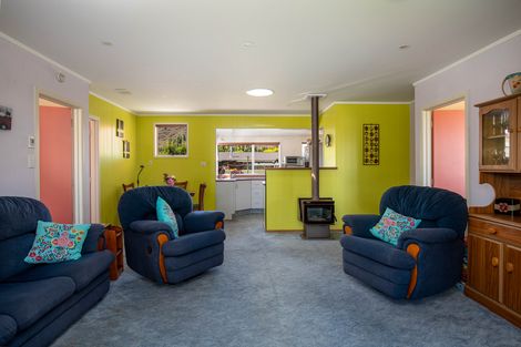 Photo of property in 155 Tarbert Street, Alexandra, 9320