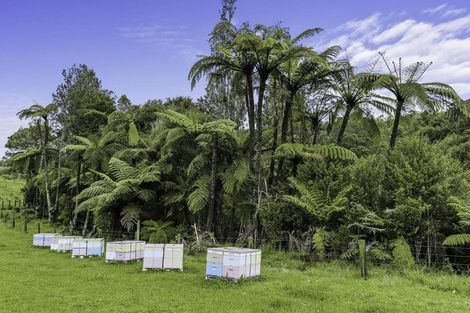 Photo of property in 9e Mcquade Road, Whakamarama, Tauranga, 3179