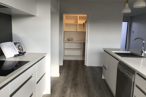 Photo of property in 28 Bonecrusher Street, Lincoln, 7608