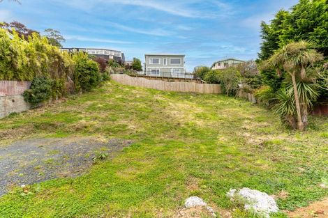 Photo of property in 32 Bellevue Place, Port Chalmers, 9023