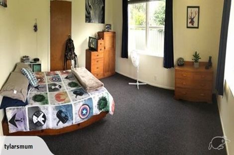 Photo of property in 8 Johnson Street, Waipawa, 4210