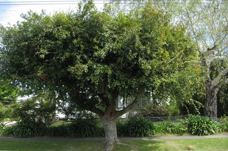 Photo of property in 112 Whitaker Street, Whataupoko, Gisborne, 4010