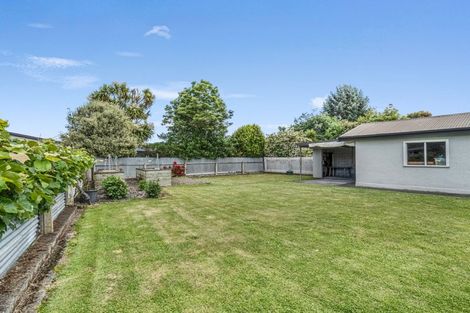 Photo of property in 22 Snowdon Avenue, Terrace End, Palmerston North, 4410