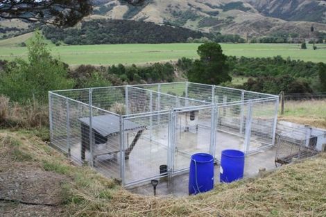 Photo of property in 343 Whitneys Road, Waimate, 7978