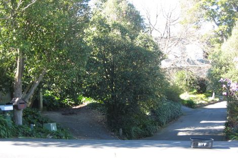 Photo of property in 46 Tanner Street, Havelock North, 4130