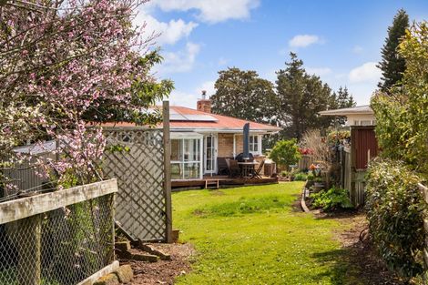 Photo of property in 13 Taylor Avenue, Paeroa, 3600