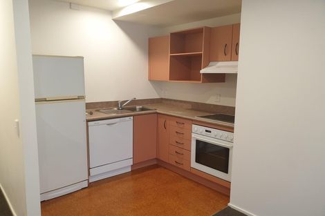 Photo of property in Courtenay Apartments, 412/120 Courtenay Place, Te Aro, Wellington, 6011