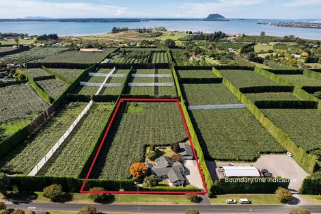 Photo of property in 13 James Road, Te Puna, Tauranga, 3176