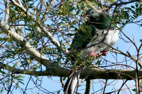 Photo of property in 20b Grand Vue Road, Kawaha Point, Rotorua, 3010