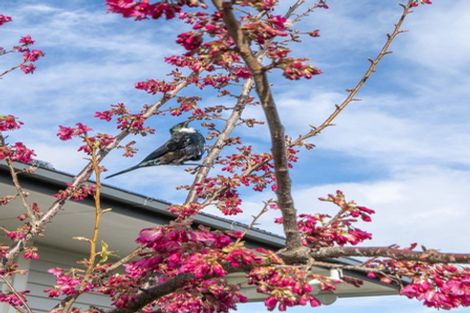 Photo of property in 5a Lancaster Street, Levin, 5510