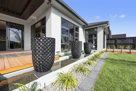 Photo of property in 56 Helen June Avenue, Flagstaff, Hamilton, 3210