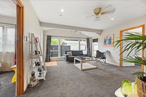 Photo of property in 158 Rimu Street, Maeroa, Hamilton, 3200