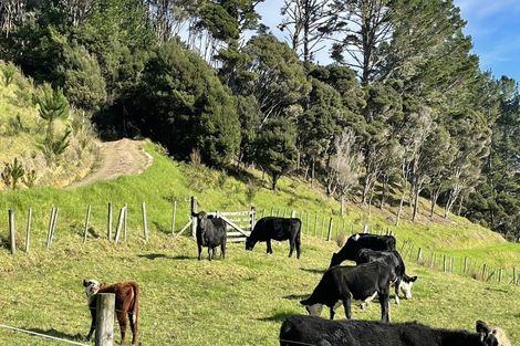 Photo of property in 158 Wainui Road, Kaeo, 0478