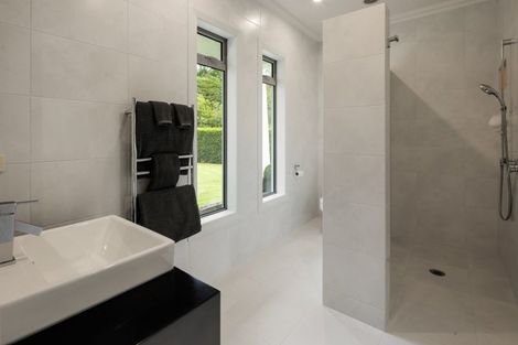 Photo of property in 63 Butcher Road, Matangi, Hamilton, 3284