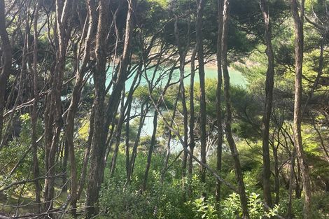 Photo of property in 11 Edith Ridge Road, Kawau Island, 0920