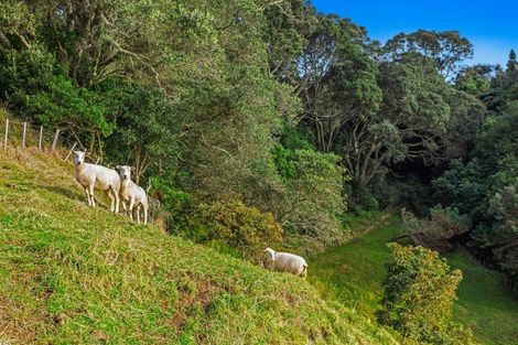 Photo of property in 59 Pohutukawa Drive, Waiotahe, Opotiki, 3198