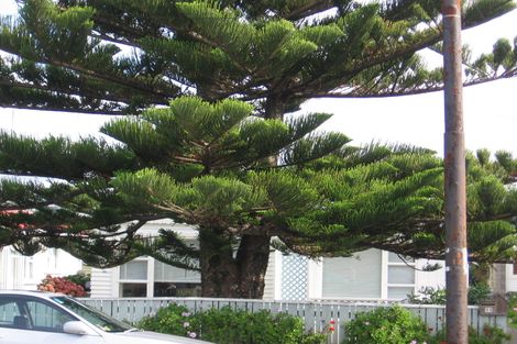 Photo of property in 11 Hobart Street, Miramar, Wellington, 6022