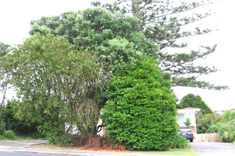Photo of property in 49 Ocean View Road, Hillcrest, Auckland, 0627