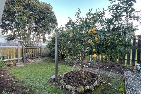 Photo of property in 65a Victoria Street, Coromandel, 3506