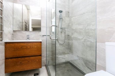 Photo of property in 3/246g Khyber Pass Road, Grafton, Auckland, 1023